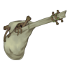 Sacoche Bone Guardian