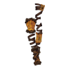 Guêtres Bone Guardian