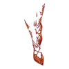 Bottines Veiled Claws