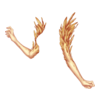 Gants Twisted Harpy