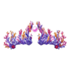 Couronne Marvellous Manta