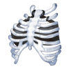 Top Bone Guardian