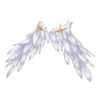 Ceinture Twisted Harpy