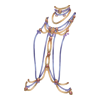 Colliers Orchid Dancer