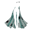 Cape Fortune Teller