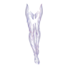 Jambières Holy Knight