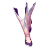 Bottes Magical Feels