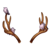 Bois Deer From Winter