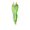 Pantalon Maid of Phoenix