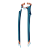 Cape Myre's Saint