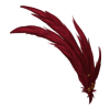 Plumes Champagne