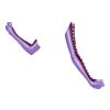 Gants Succubus Ruler