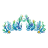 Couronne Marvellous Manta