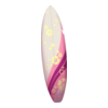 Planche Salty Surfer