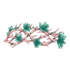 Couronne Necromancer