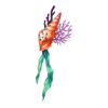 Barrette Legend of Sea