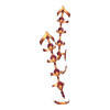 Sandales Orchid Dancer