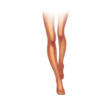 Bas Costume Bériflore