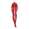 Pantalon Nightmare Chivalry