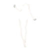 Tatoo Voodoo Priestess