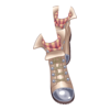 Boots Little Alchemist