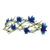 Couronne Necromancer