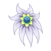 Fleur Shy Waterlily