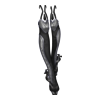 Bottes Stolen Voice