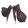 Veste Starry Witch