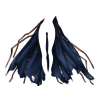 Cape Ghost Hunter