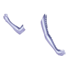 Gants Succubus Ruler