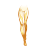 Collants Mysterious Enchantress