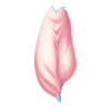 Sarouel Costume Bériflore
