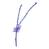 Collier Cherry Tree Archer
