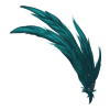 Plumes Champagne