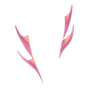Nageoires de Jambes Abyss Creature