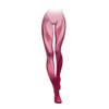 Collants Mysterious Enchantress