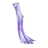 Cape Shooting Star