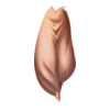 Sarouel Costume Bériflore