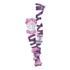 Guêtres Bone Guardian