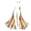 Cape Fortune Teller