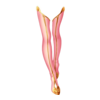 Bottes Maid of Phoenix