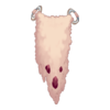 Jupe Yeti's Hunter