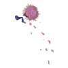 Bouquet Banshee