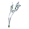 Collier Maid of Phoenix