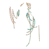 Perles Cacophony