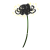 Fleur Death Faery