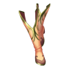 Bottes Magical Feels