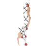 D&eacute;clinaisons